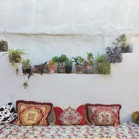 Hostel Zicatela Taghazout Exterior photo
